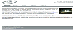 Desktop Screenshot of amstlc.com